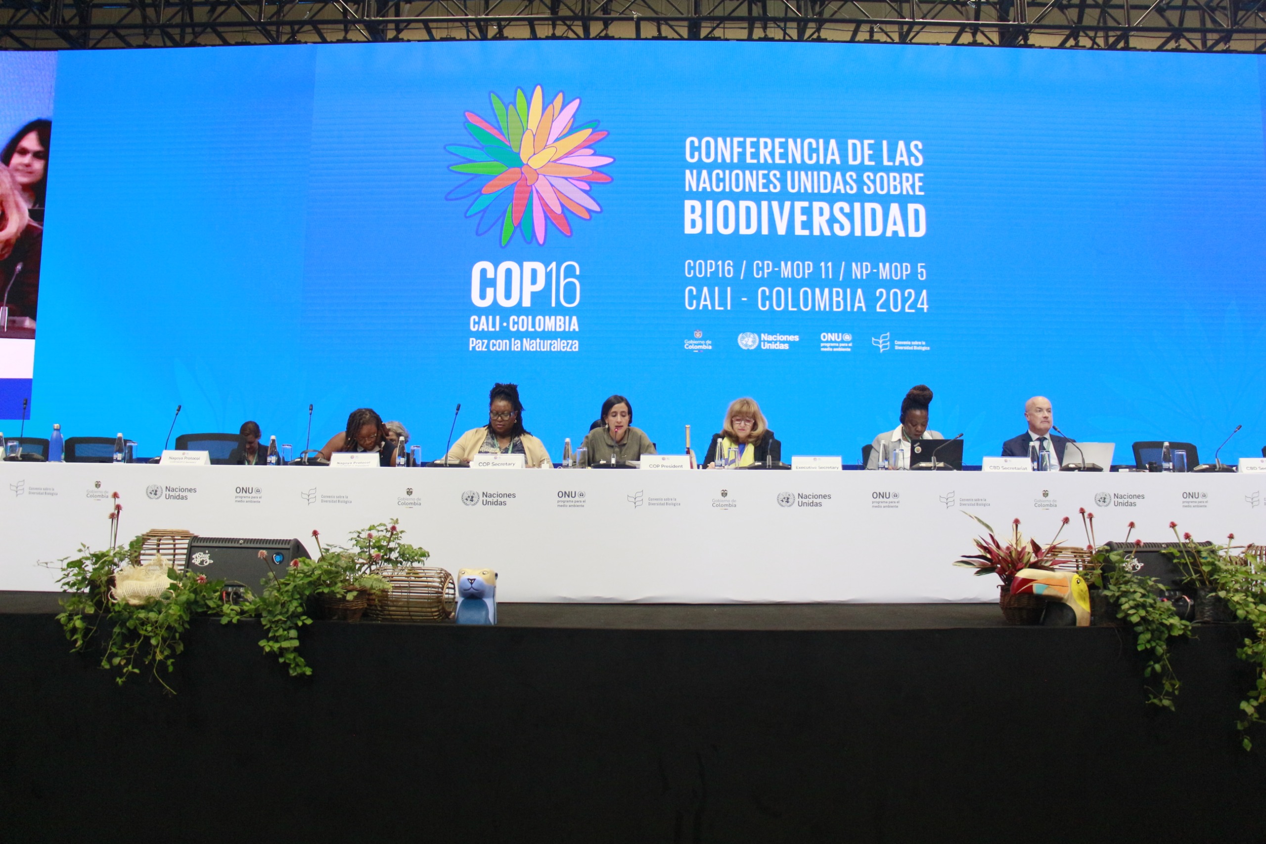 Official photo of stock-taking plenary session at COP-16 in Cali