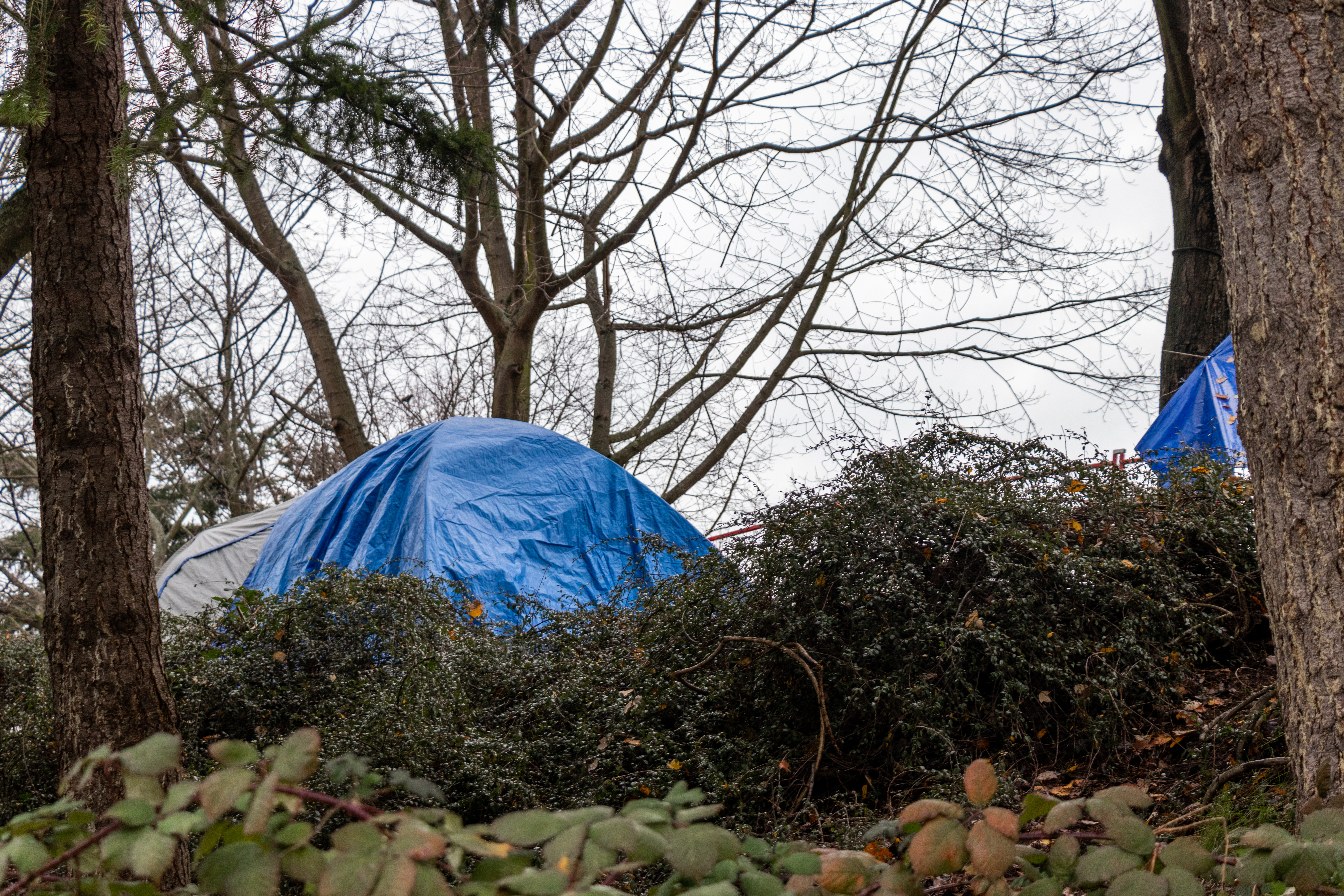 Photo of a tent in a wooded area in Vancouver