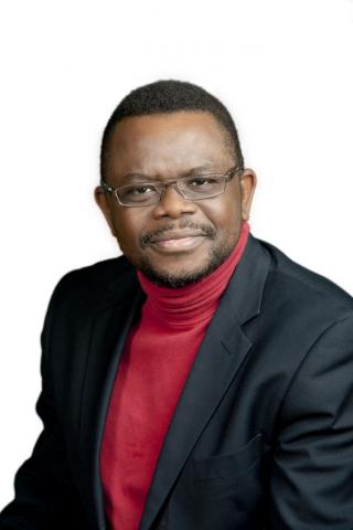 Professor Obiora Chinedu Okafor