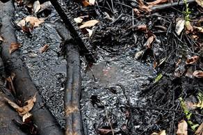 Texaco Oil Spill, Photo by Cancillería Ecuador (CC BY-SA 2.0)