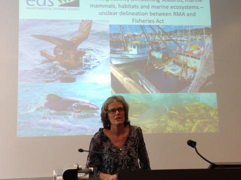 Raewyn Peart at the 2017 event hosted by the Centre for Law and the Environment on the New Zealand Resource Management Act