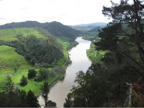 Photo of the Whanganui River in New Zealand