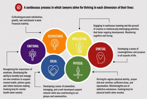 lawyer wellbeing diagram