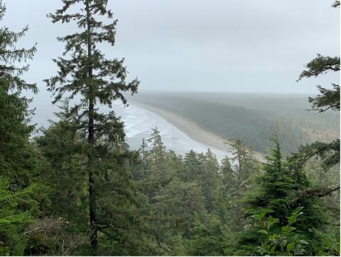 Photo of Haida Gwaii forest and coastline