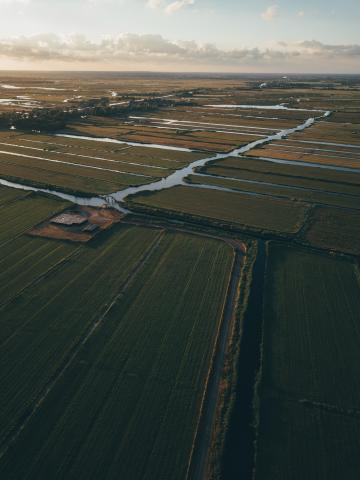 aerial view of agricultural fields with water running between fields