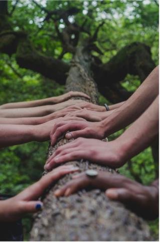 Hands Interwoven on Tree 