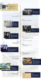 Law School Timeline