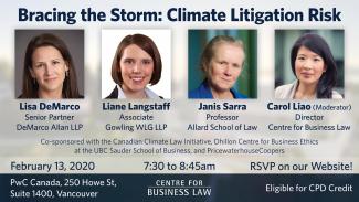 Bracing for the Storm: Climate Litigation Risk Poster