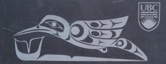 Humming bird engraving