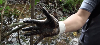 Gloved hand shown to be covered in oil
