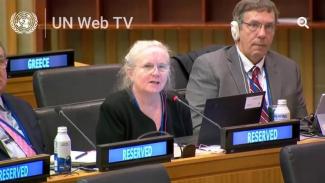 Dr. Janis Sarra at UNCITRAL's 62nd session