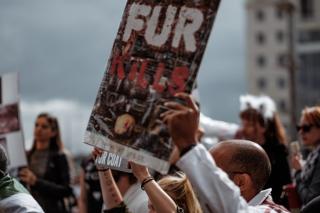 Person holds up "Fur Kills" poster
