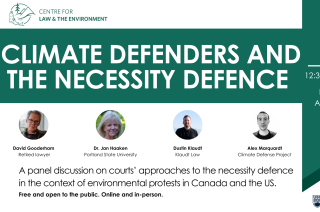 Social media card announcing the Necessity Defence Panel