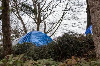Photo of a tent in a wooded area of Vancouver