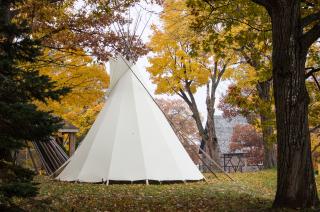 Tipi on traditional Anishinaabe territory in northern Ontario, now known as Algoma University.  Photo credit: Billy Wilson 