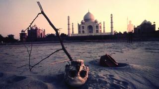 Skull in front of Taj Mahal