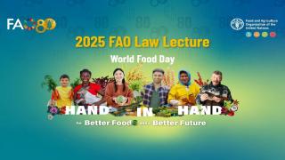 2025 11 06 - FAO Law Lecture - LAW